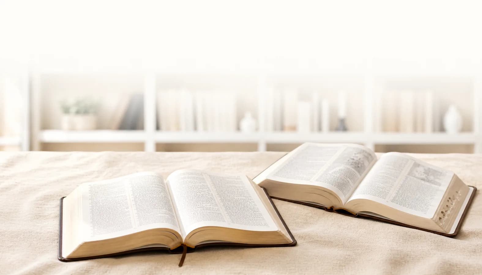 Biblia y Comentarios