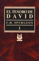 El Tesoro de David, Vol-1