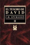 El Tesoro de David, vol2